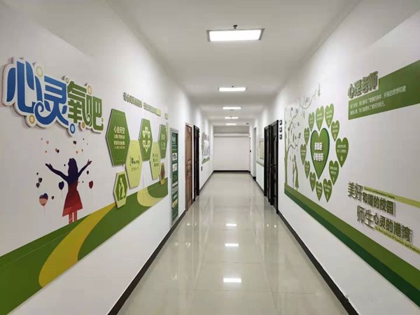 濮陽第八中學心理咨詢室圖片