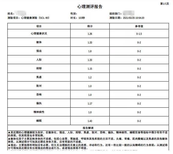 心理測評(píng)報(bào)告模版